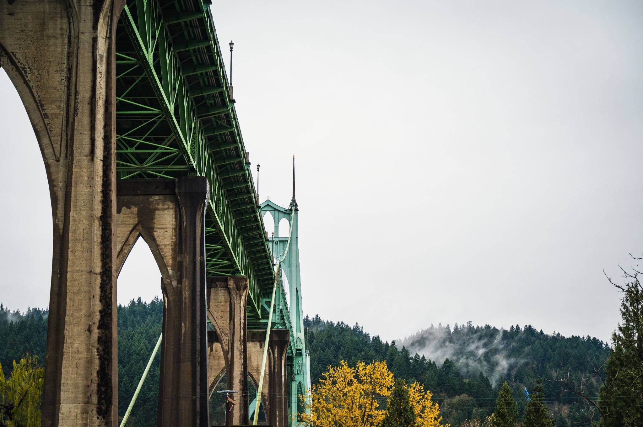 The St. Johns Bridge seen in profile from Cathedral Park, green steel spans rising over the Willamette and the forested West Hills